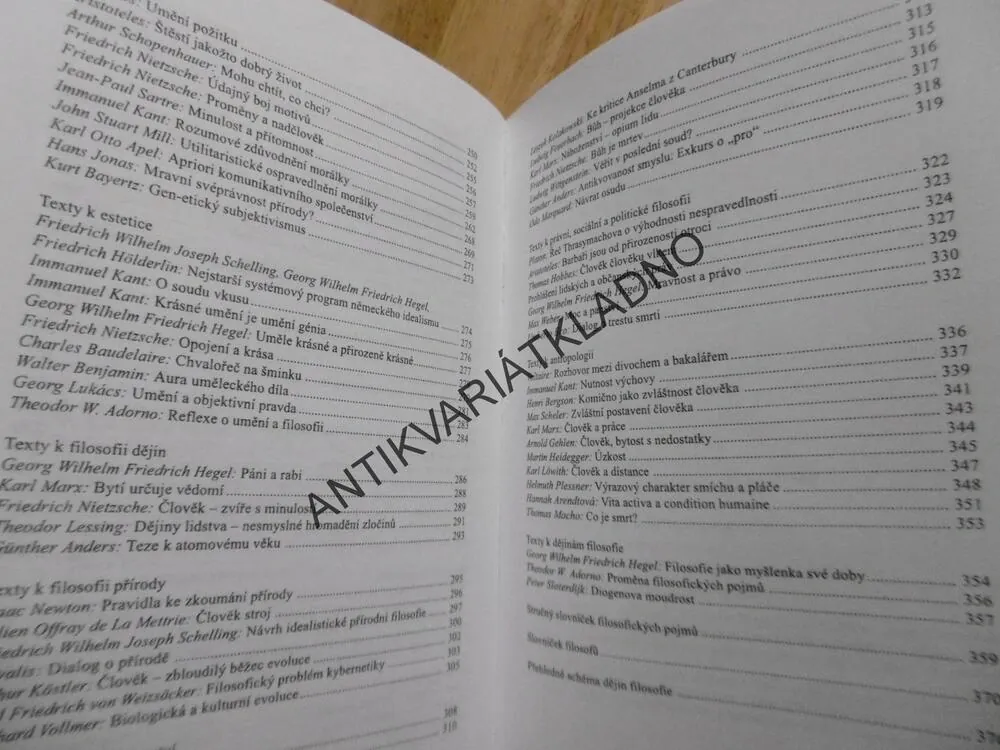 O MYŠLENÍ, ÚVOD DO FILOSOFIE, LIESSMANN, GERHARD ZENATY,