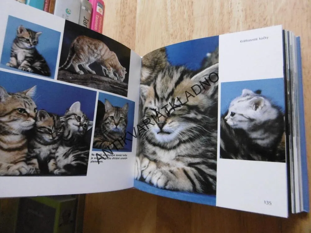 KOČKY 1001 FOTOGRAFIÍ, **an