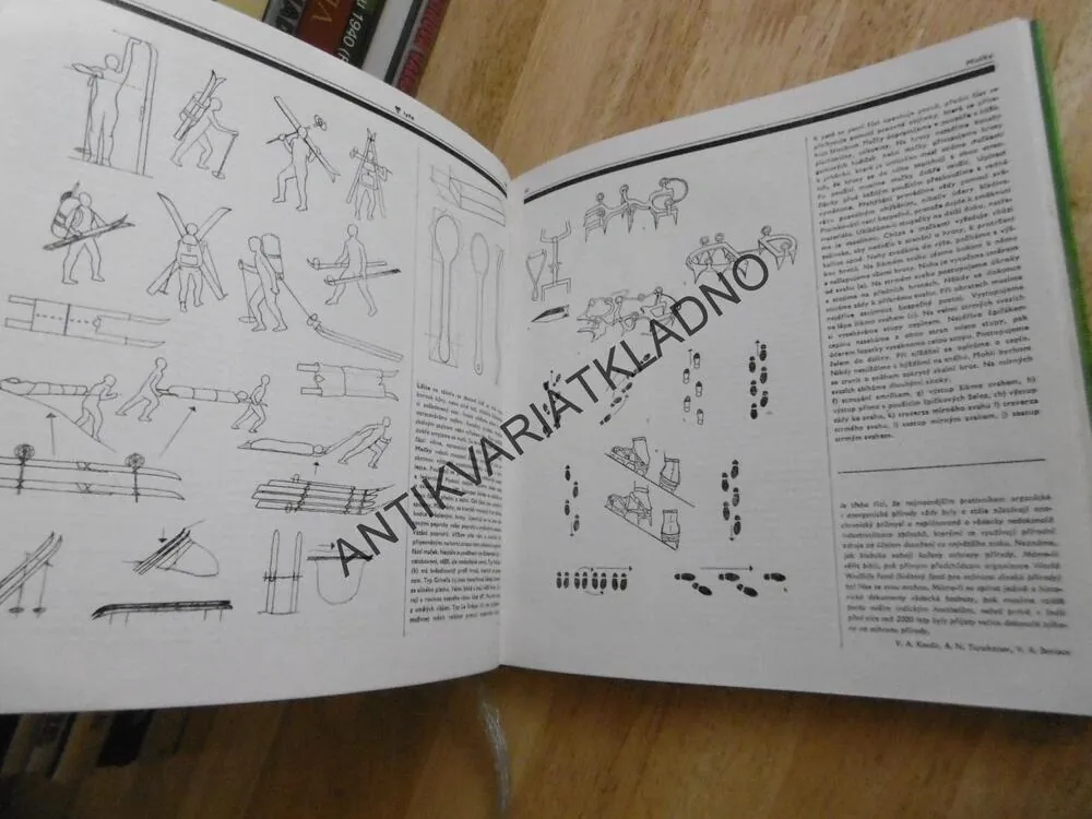 ENCYKLOPEDIE TÁBORNÍKA, MIRKO VOSÁTKA, **an
