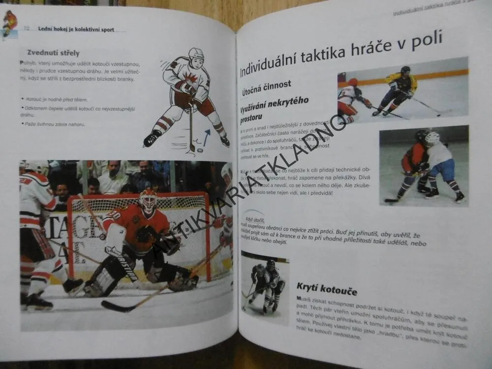 LEDNÍ HOKEJ, SERGE EVDOKIMOFF, 