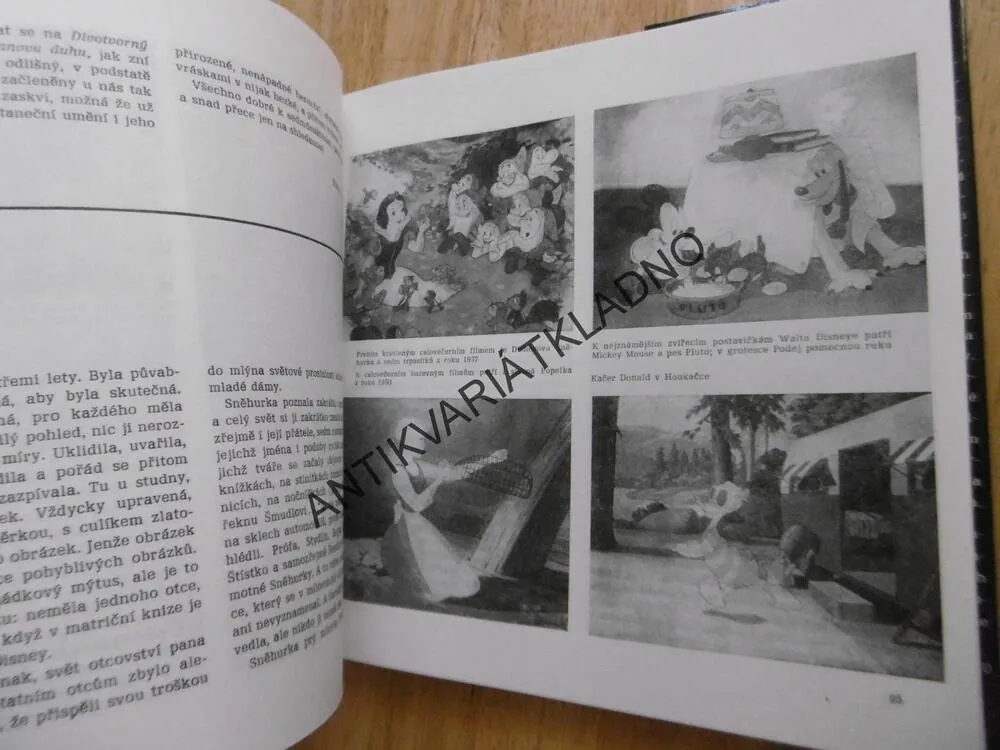 TO JE MI PĚKNÁ HISTORIE, MYRTIL FRÍDA**an