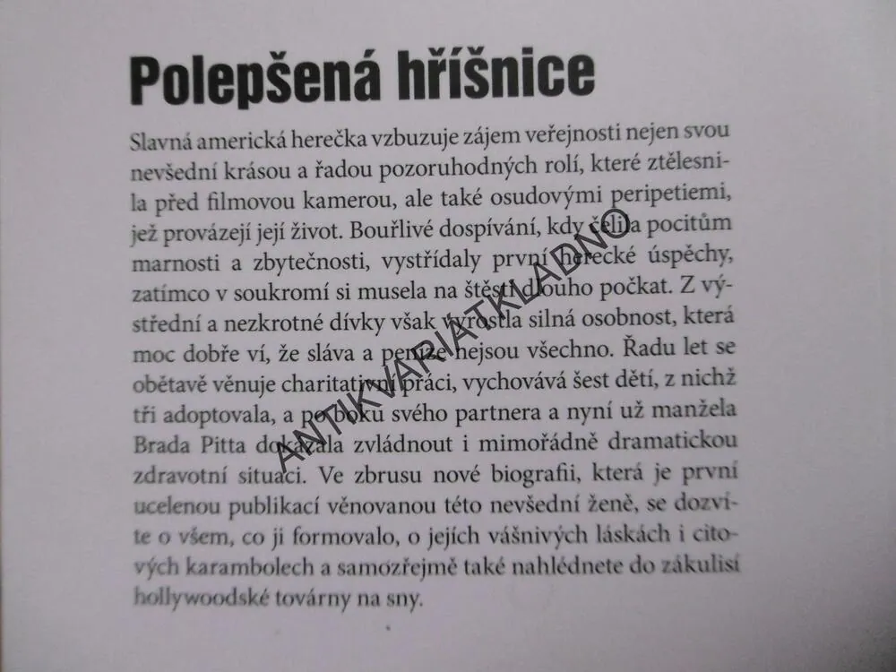 ANGELINA JOLIE, OSUD JMÉNEM BRANGELINA, MICHAELA VAŇKOVÁ