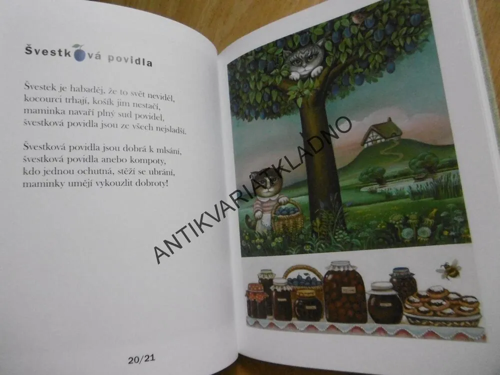 KOČKOVÁNÍ, JIŘÍ ŽÁČEK, LÍDA BRYCHTOVÁ, **an