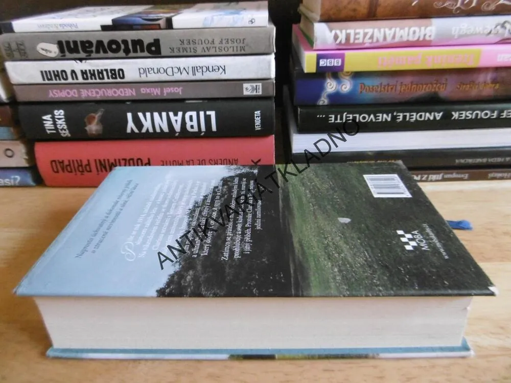 POSLEDNÍ LÉTO, JUDITH KINGHORN, **an
