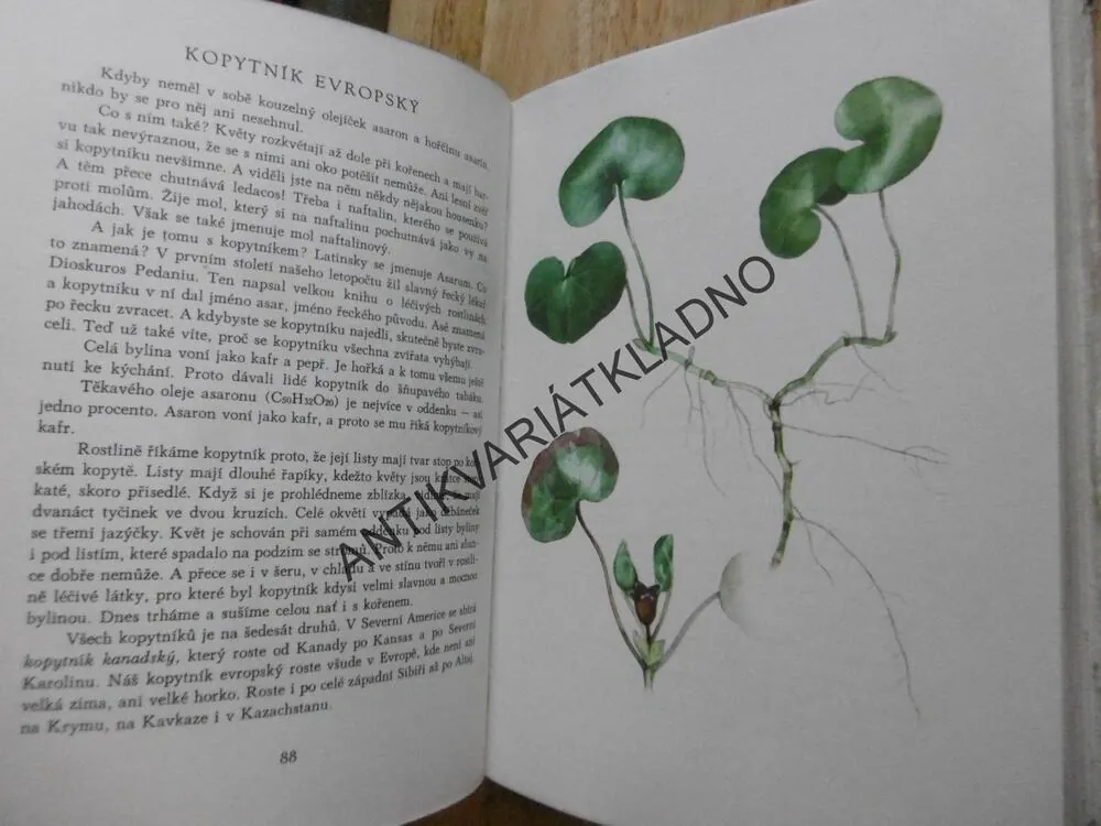 SBÍRÁME LÉČIVÉ BYLINY, JAROSLAV PETRBOK, OTTO UŠÁK, 1958, **an