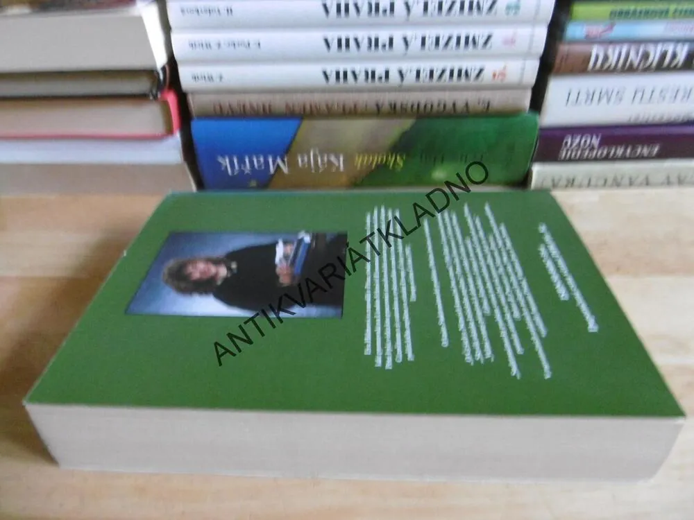 SUDETONĚMECKÝ PROBLÉM: OBTÍŽNÉ LOUČENÍ S MINULOSTÍ, EVA HAHNOVÁ, **an