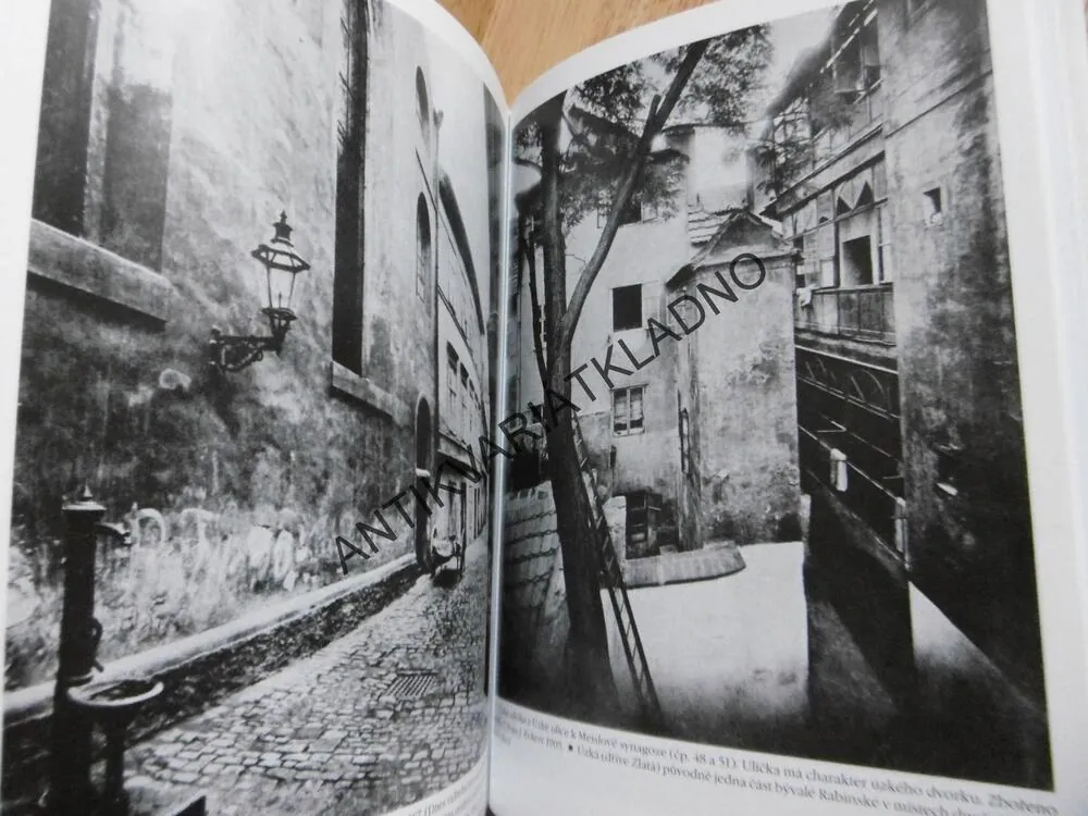 ZMIZELÁ PRAHA 3., HANA VOLAVKOVÁ, **an