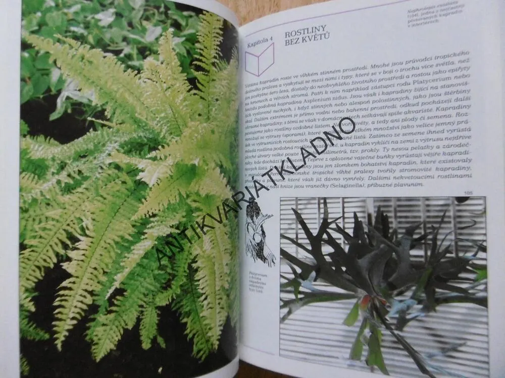 FOTOGRAFICKÝ ATLAS POKOJOVÉ ROSTLINY, ANNA SKALICKÁ, **an