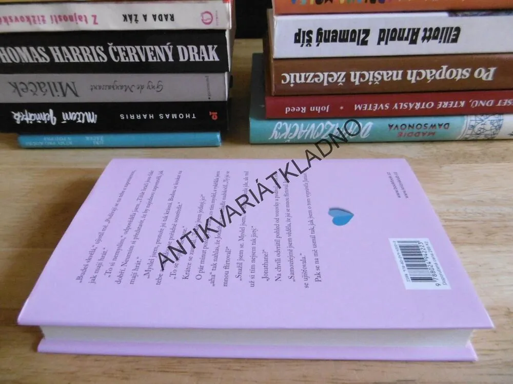 HOLKA, KTEROU KDYSI ZNAL, TRACEY GARVIS GRAVES, **an