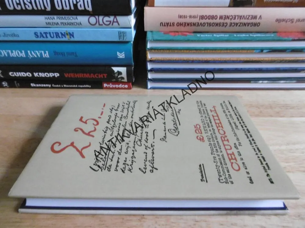 WINSTON S. CHURCHILL, MÉ ŽIVOTNÍ ZAČÁTKY, **an
