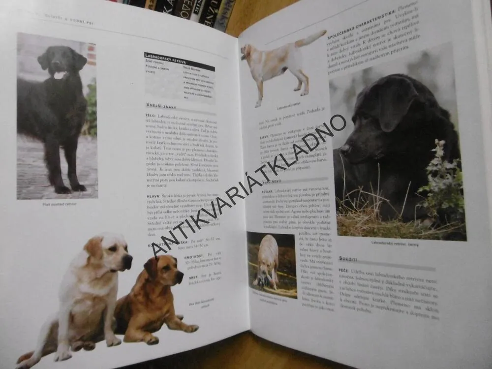 VELKÁ ENCYKLOPEDIE PSŮ, ESTHER VERHOEF, **an