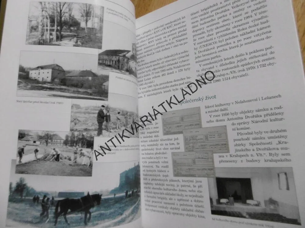 NELAHOZEVES, ALENA TEJNICKÁ, BOHUMÍR TEJNICKÝ, **an