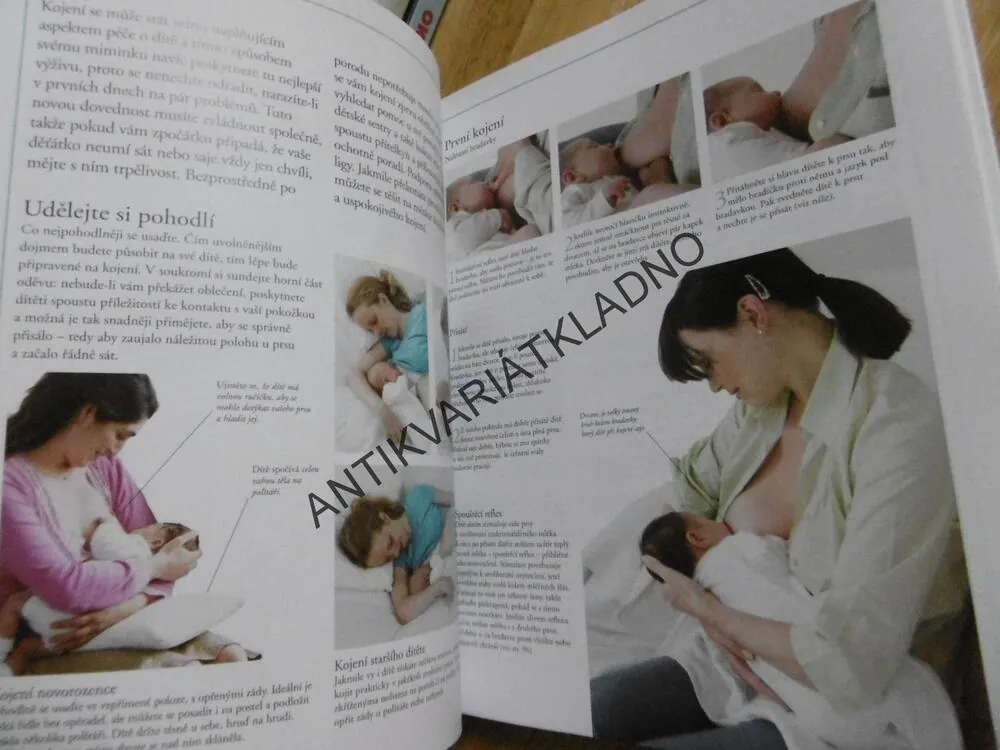 VELKÁ KNIHA O MATCE A DÍTĚTI, ELIZABETH FENWICKOVÁ, **an