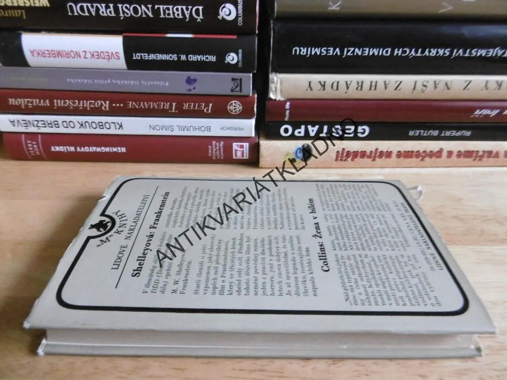 FRANKENSTEIN, MARY W. SHELLEYOVÁ, **an
