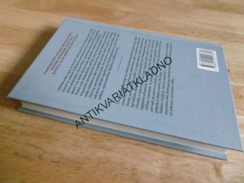 HEMINGWAYOVY HLÍDKY, ERNEST HEMINGWAY  A JEHO HON NA PONORKY, TERRY MORT, **an
