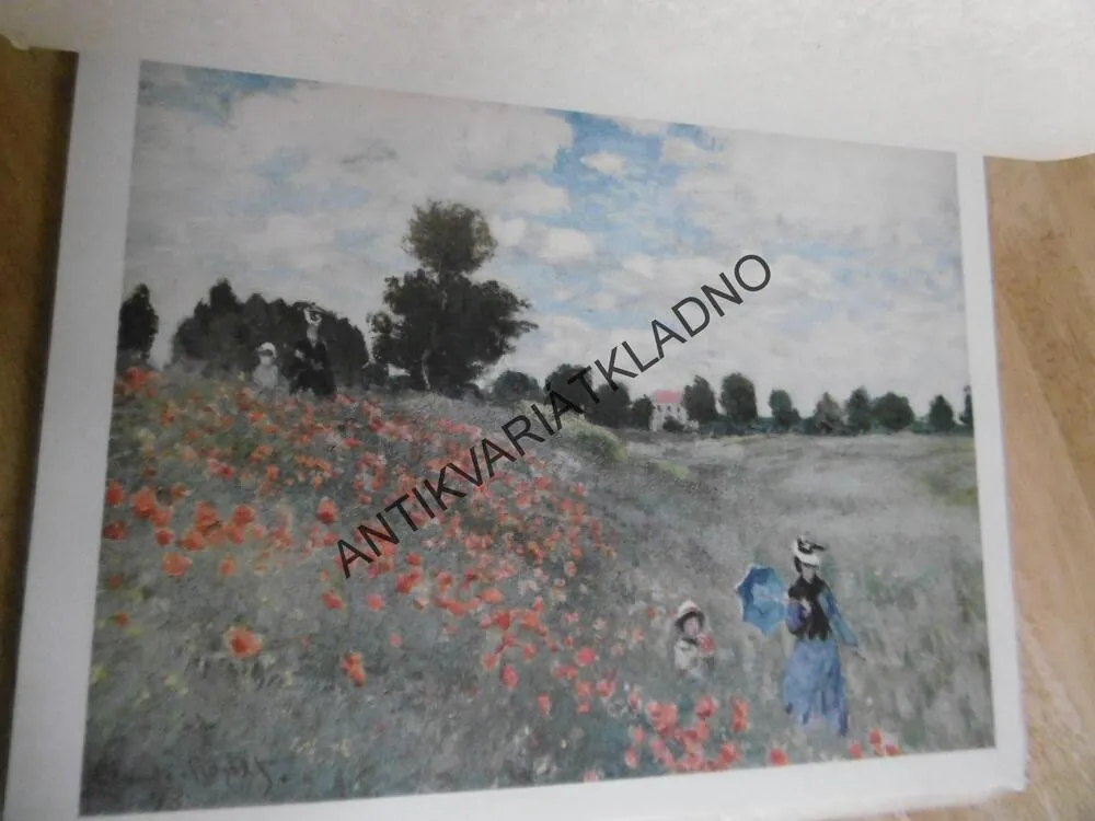 DER FRANZÖSISCHE  IMPRESSIONISMUS, VÝTVARNÉ UMĚNÍ, **an