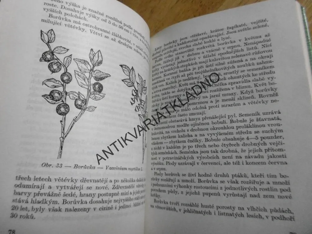 SBÍRÁME LESNÍ PLODY A HOUBY , SMOTLACHA, HRDLIČKA, MYKOLOGIE, **an