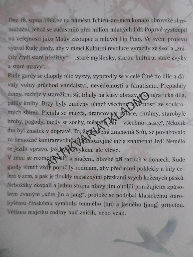 DIVOKÉ LABUTĚ, JUNG CHANGOVÁ, **an