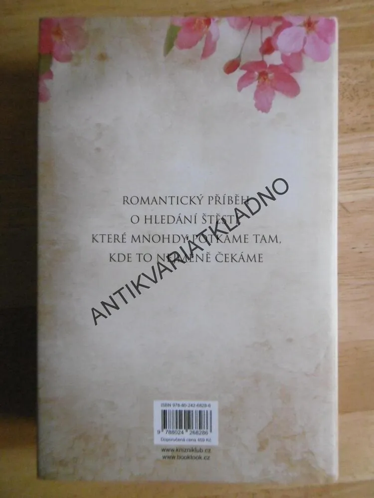 MAJÁK NA ÚTESECH, MARIE LAMBALLE, **an