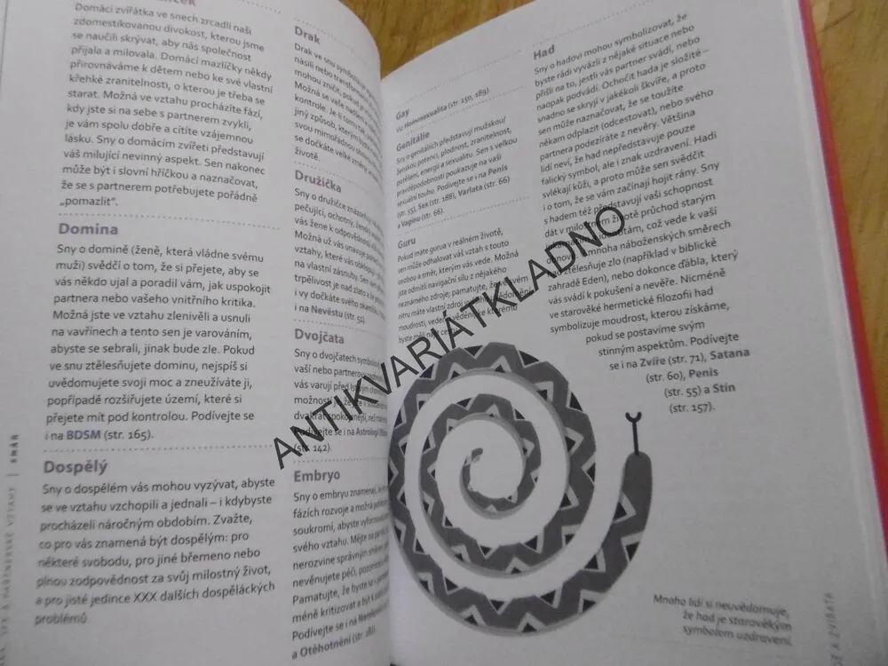 SNÁŘ, LÁSKA, SEX A VZTAHY, KELLY SULLIVAN WALDEN, 1000 SYMBOLŮ, **an