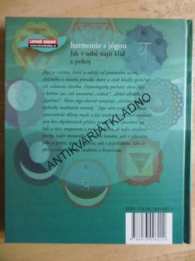 HARMONIE S JÓGOU, VANESSA BINI, JÓGA, **an