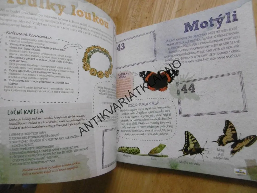 PRÁZDNINY V JEDNOM KOLE, **an