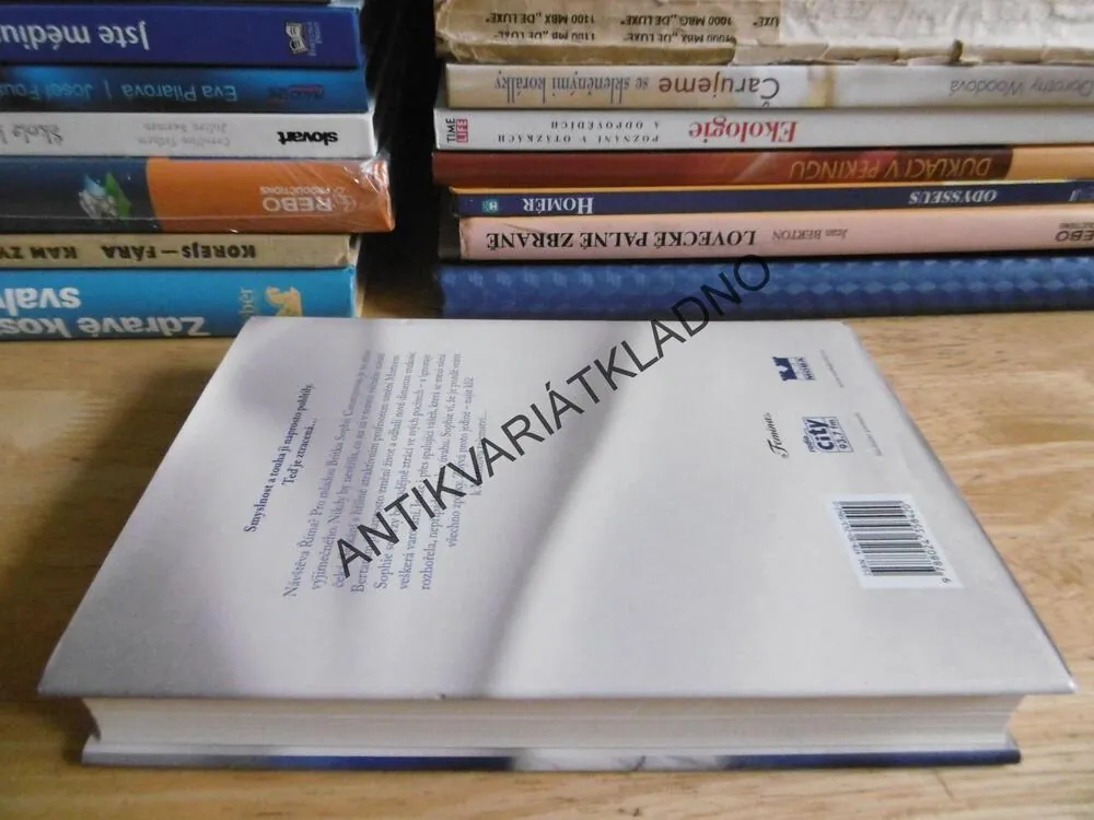 BARVY LÁSKY, ZTRACENÁ, KATHRYN TAYLOR, **an