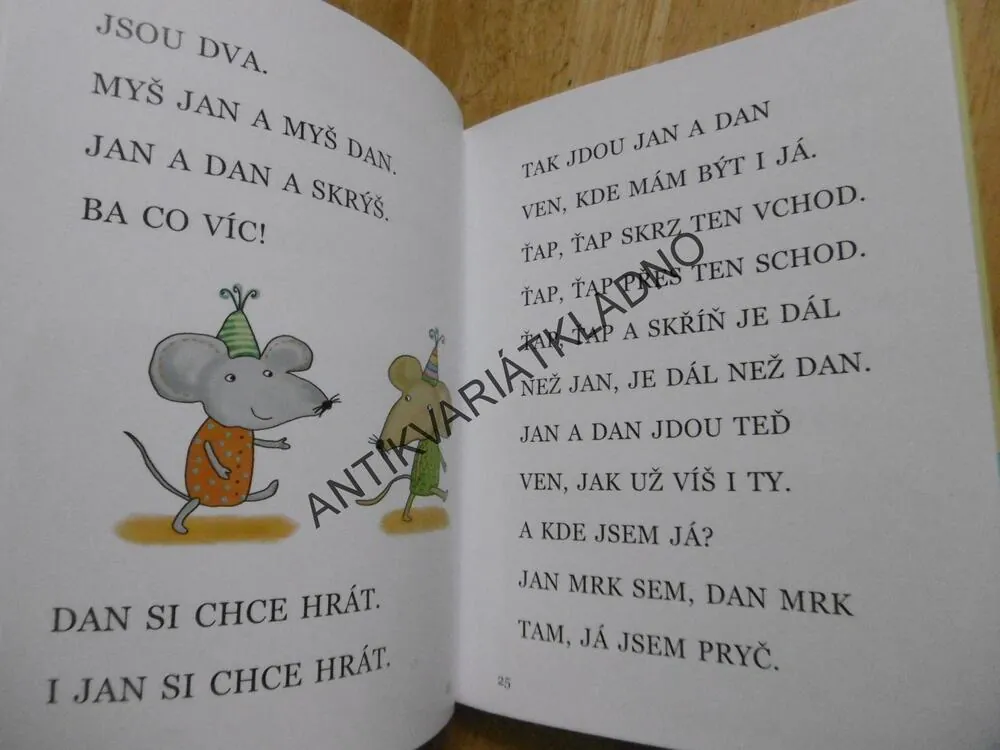 SVĚT HRAČEK A HER, EVA HORÁKOVÁ, MICHAELA BERGMANNOVÁ, **an