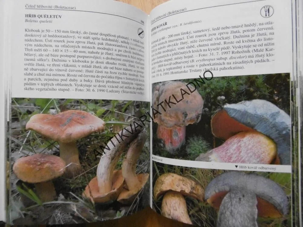 HOUBY ATLAS, LADISLAV HAGARA, MYKOLOGIE, **an