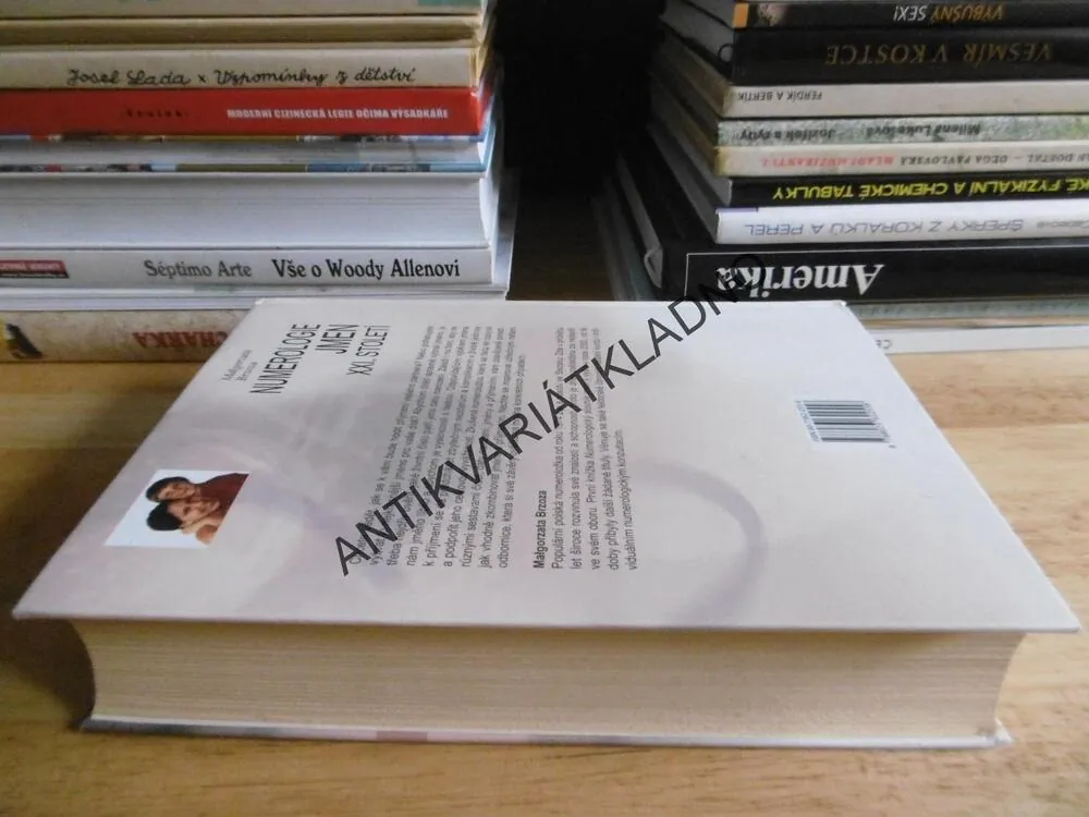 NUMEROLOGIE JMEN XXI.STOLETÍ, MALGORZATA BRZOZA, **an