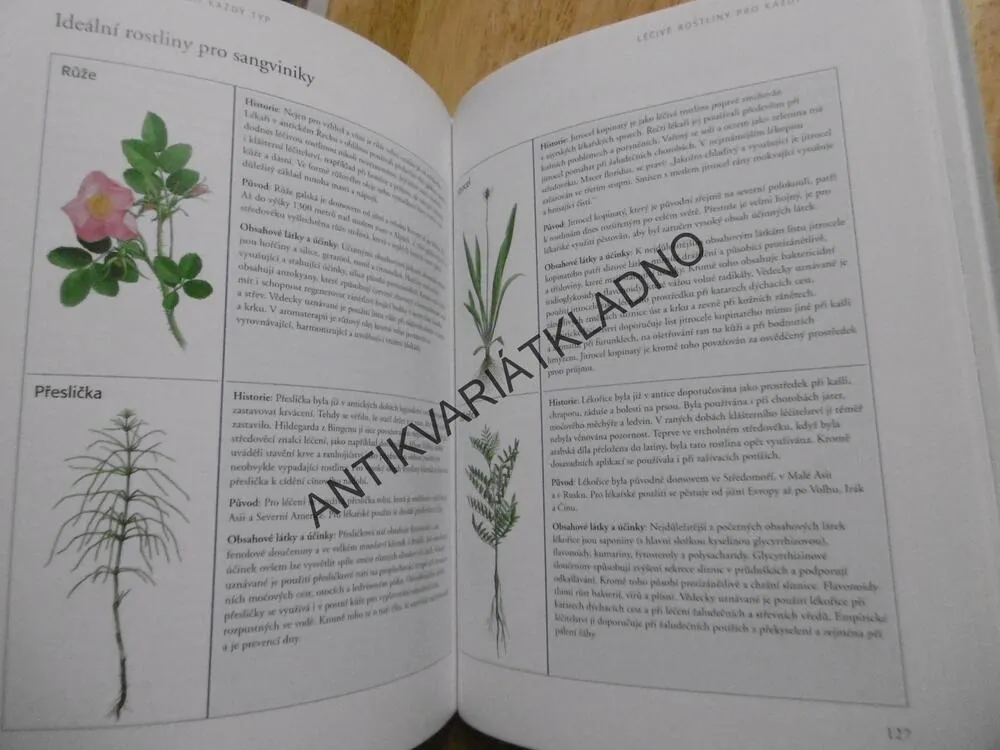 ZDRAVÍ Z KLÁŠTERNÍ LÉKÁRNY, PÁTER KILIAN SAUM,**an