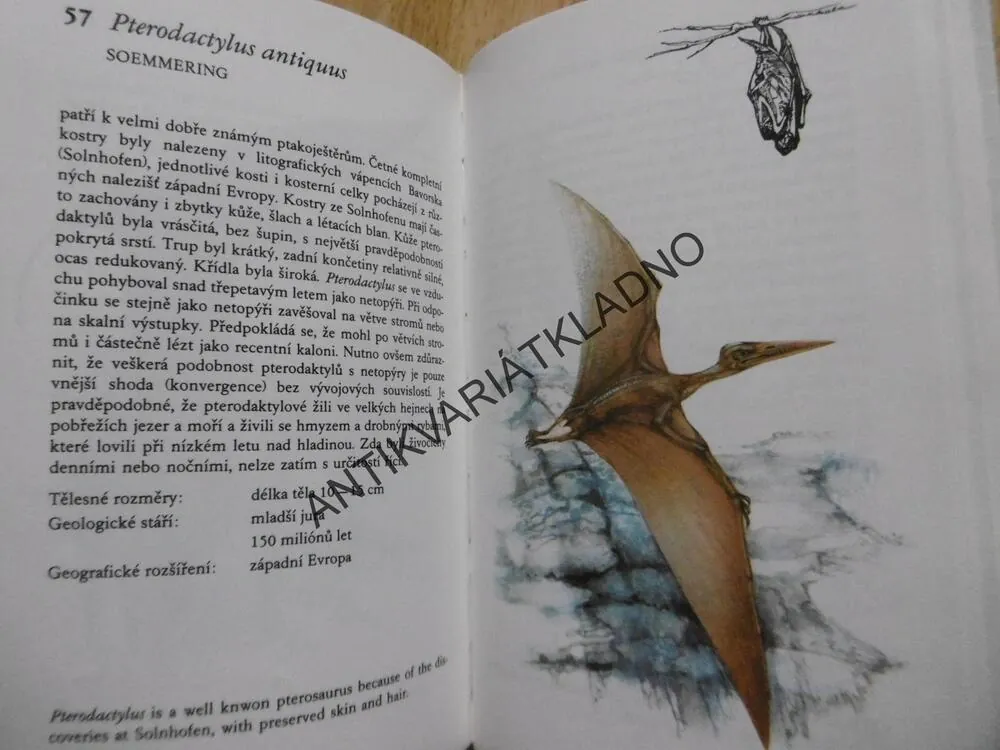 PRAVĚKÁ ZVÍŘATA, JOSEF BENEŠ, ZDENĚK BERGER, **an