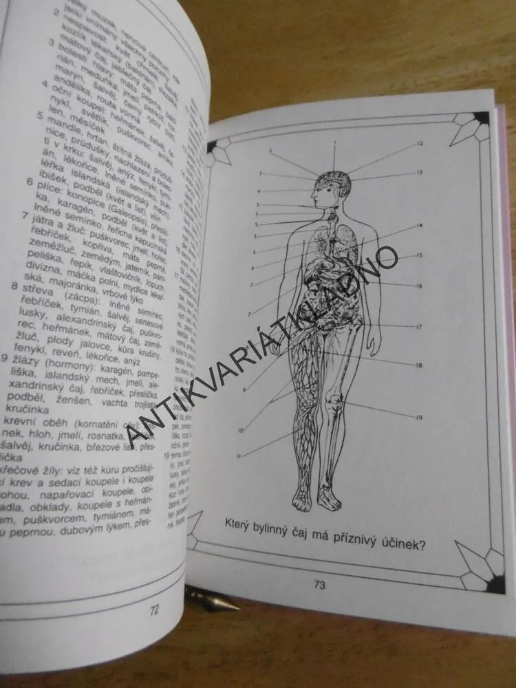 PRAKTICKÁ KNÍŽKA O SIDERICKÉM KYVADÉLKU, D. JURIAANSE, 1995 