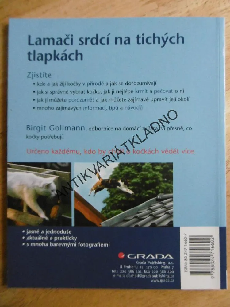 KOČKA, SEBEVĚDOMÁ, CHYTRÁ, HRAVÁ, BIRGIT GOLLMANN, **an