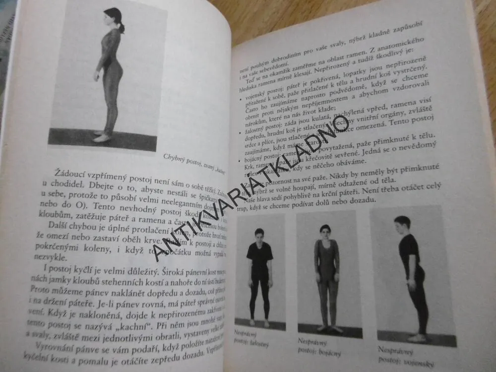 BUĎTE FIT S PĚTI TIBEŤANY, ARNOLD H. LANZ,