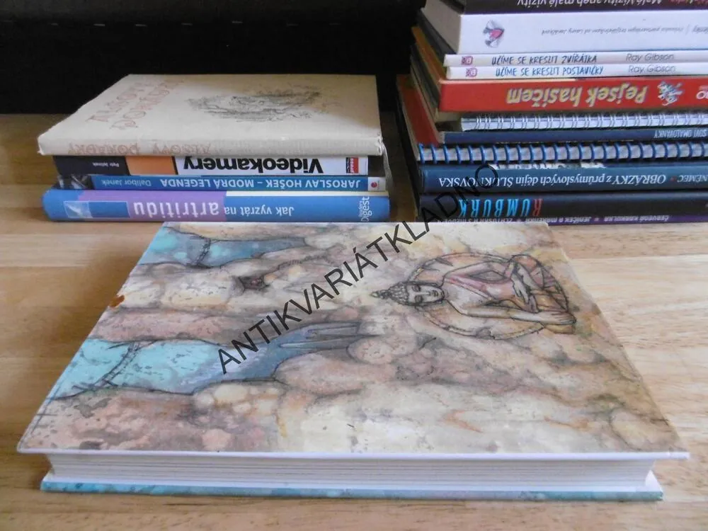 MIPAM LAMA S PATEROU MOUDROSTÍ, LAMA JONGDÄN, **an