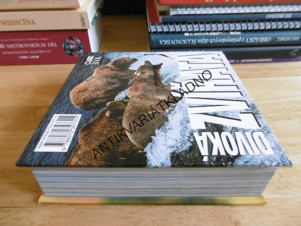 DIVOKÁ ZVÍŘÁTA, CUBE BOOK, **an