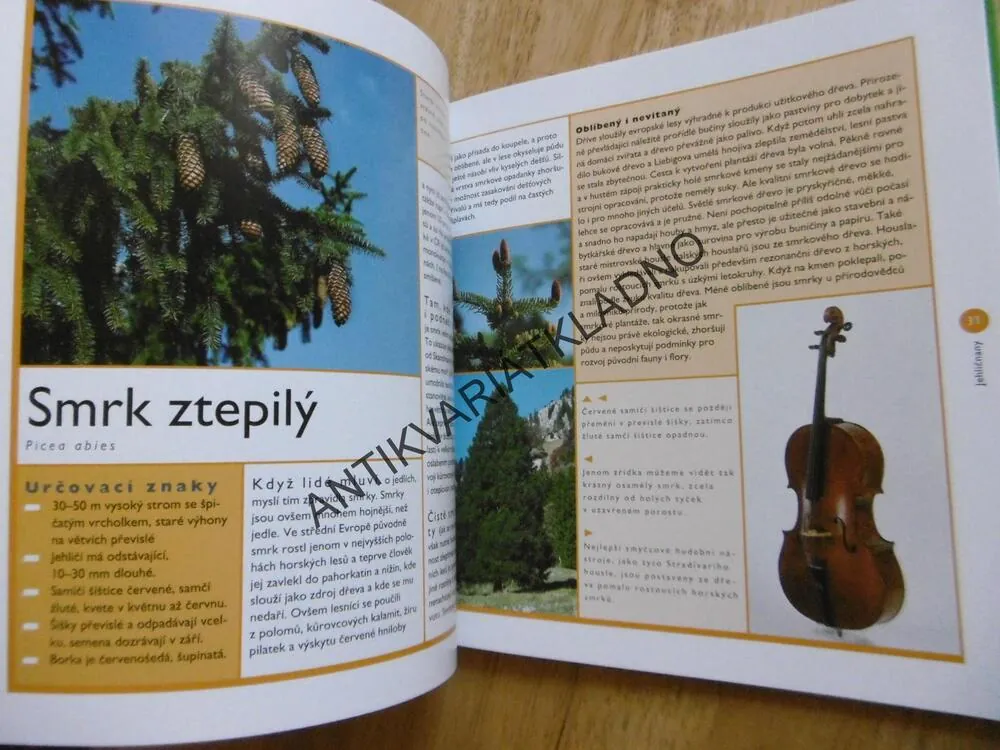 STROMY A KEŘE, PRŮVODCE NAŠÍ PŘÍRODOU, M. LOHMANN, **an