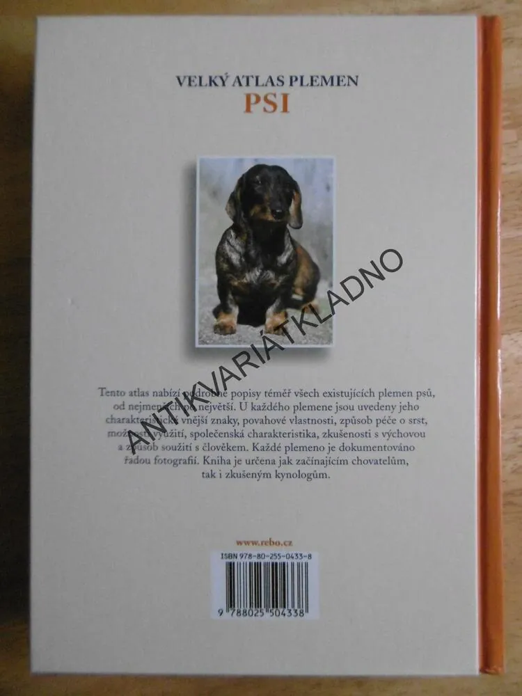 VELKÝ ATLAS PLEMEN, PSI, VERHOEF-VERHALLEN, **an