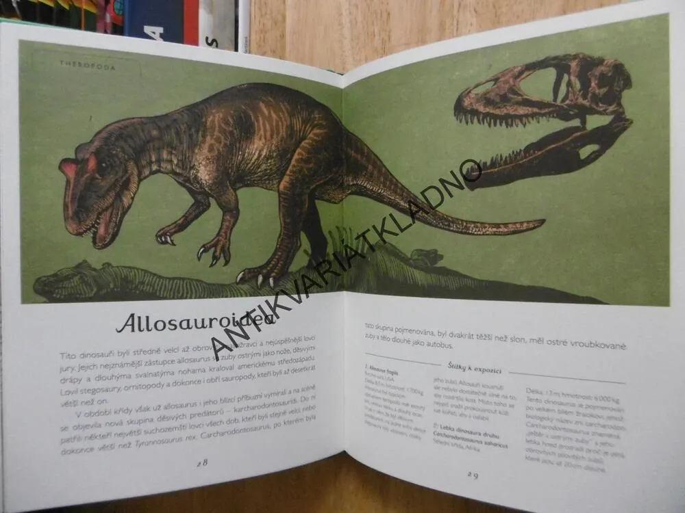 DINOSAURIUM, WORMELL, MURRAYOVÁ, DINOSAURUS, **an