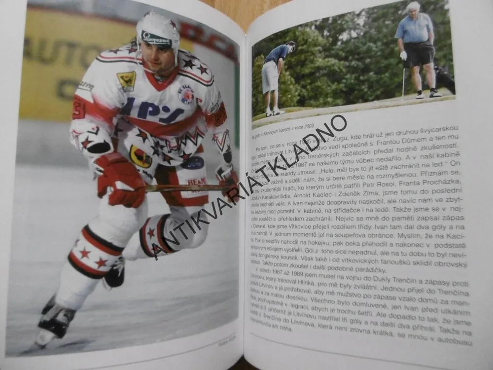IVAN HLINKA, LIBĚNA HLINKOVÁ, ČESKÝ HOKEJ, SPORT, **an
