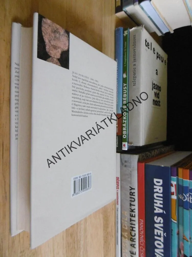 ZEĎ NEVOLNOST, JEAN-PAUL SARTRE, **an