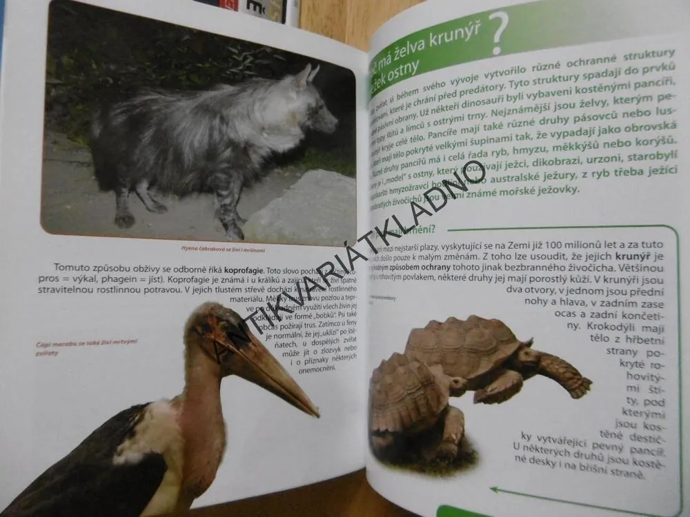 PODIVUHODNÝ SVĚT ZVÍŘAT, KOŘÍNEK, BIČÁKOVÁ, FRANCOVÁ **an