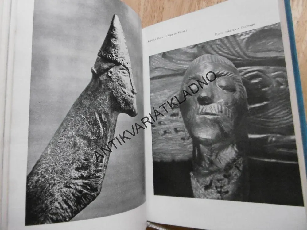 VIKINGOVÉ SÁGA TŘÍ STALETÍ, JOHANNES BRONDSTED, **an