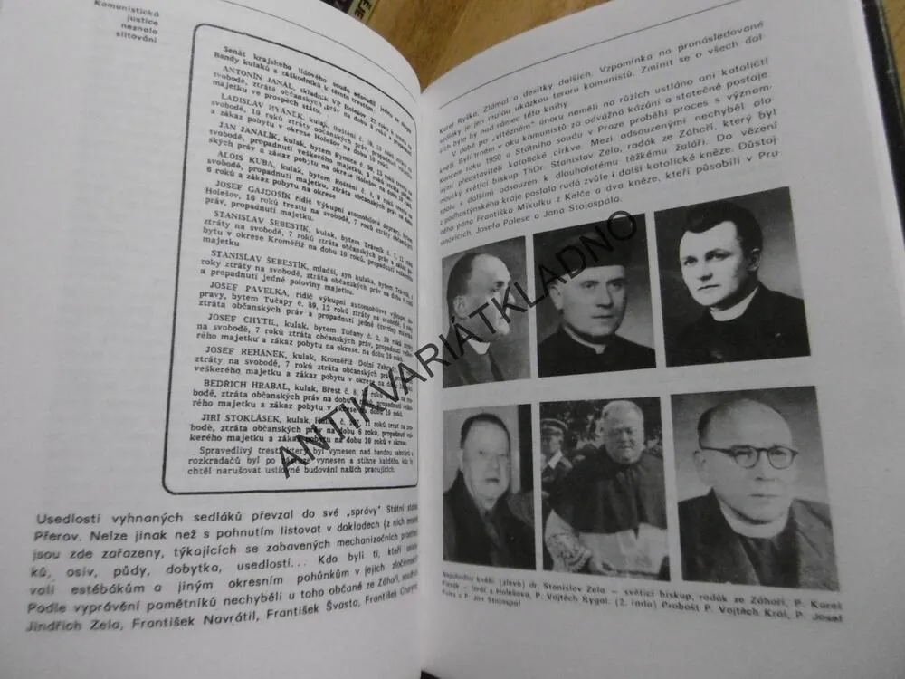 NESMIŘITELNÍ, HORY HOSTÝNSKÉ, JAROSLAV POSPÍŠIL, **an