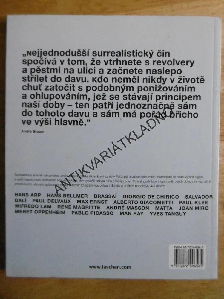 SURREALISMUS, CATHRIN KLINGSÖHR-LEROYOVÁ
