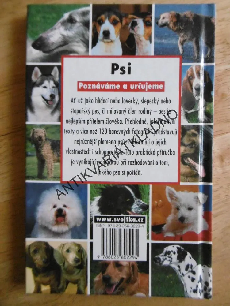 PSI, POZNÁVÁME A URČUJEME, **an