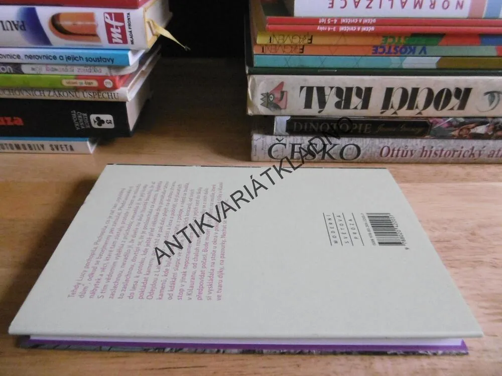 PŘÍBĚH LUCY GAULTOVÉ, WILLIAM TREVOR, **an