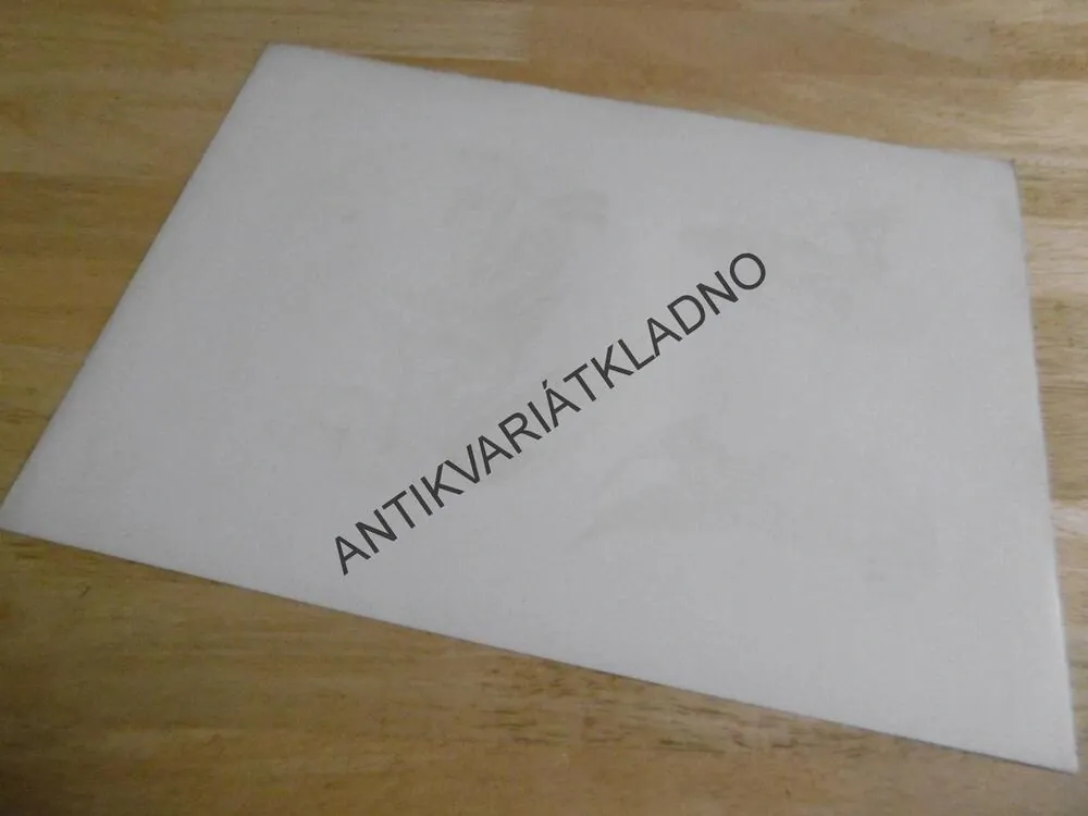 DEKORATIVNÍ TISK 1904 - HERALDIKA, ERB, ERBY,