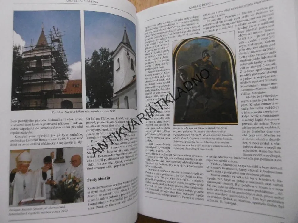KNIHA O ŘEPÍCH, PRAHA, HÁJEK, SVOBODA, 2006, **an